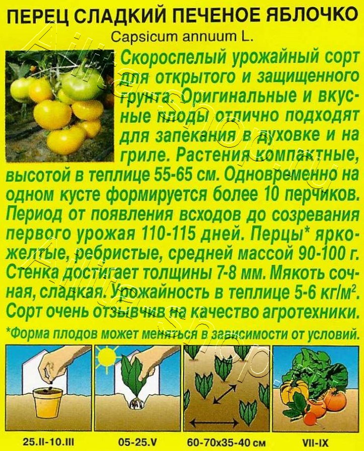 Перец сладкий Печеное яблочко 20шт