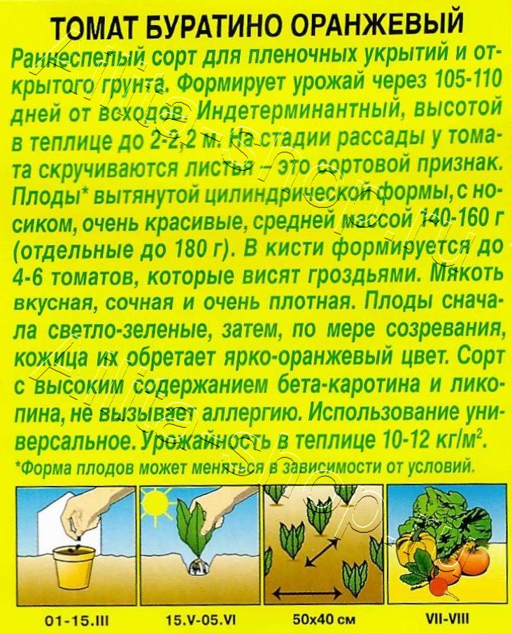 Томат Буратино оранжевый 20шт