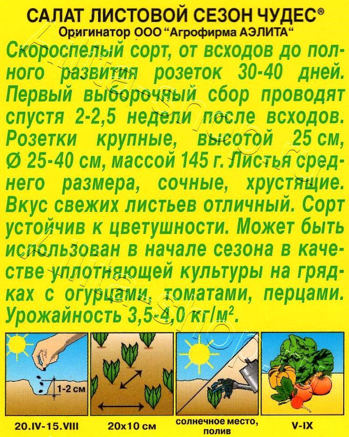 Салат Сезон чудес листовой 0,5г