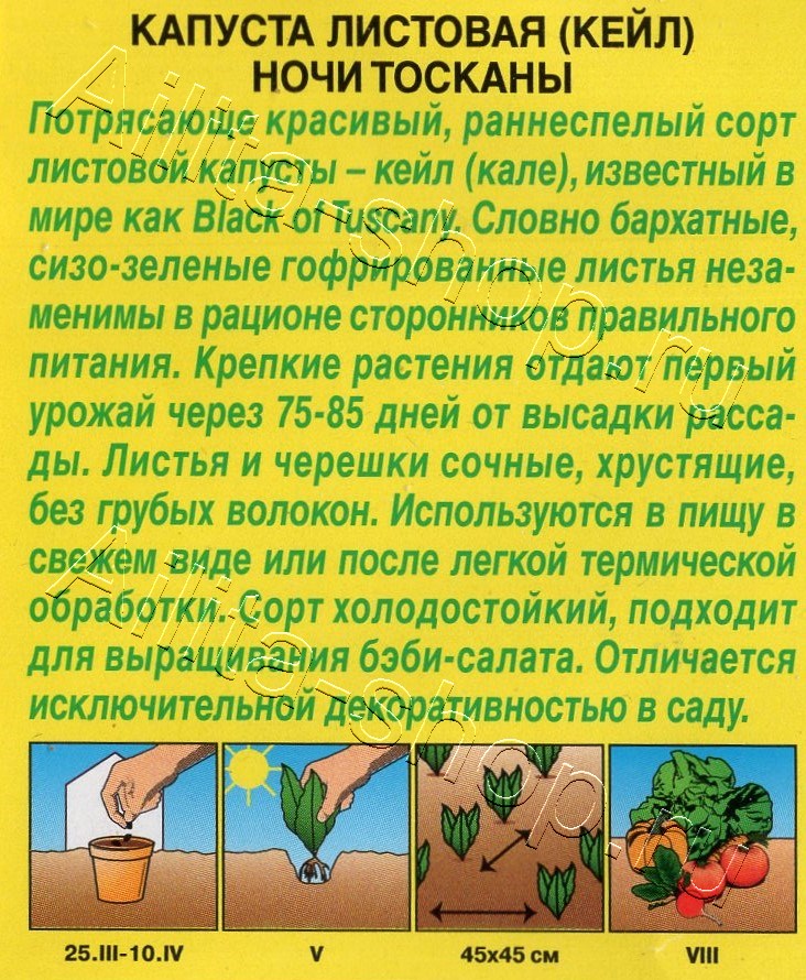 Капуста листовая (кале) Ночи Тосканы 0,2г