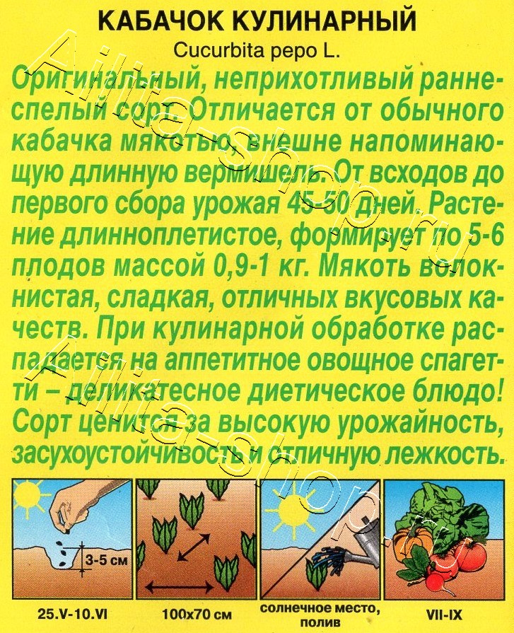 Кабачок Кулинарный 1г