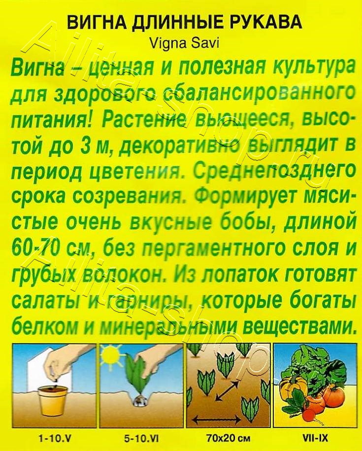 Вигна Длинные рукава 5г