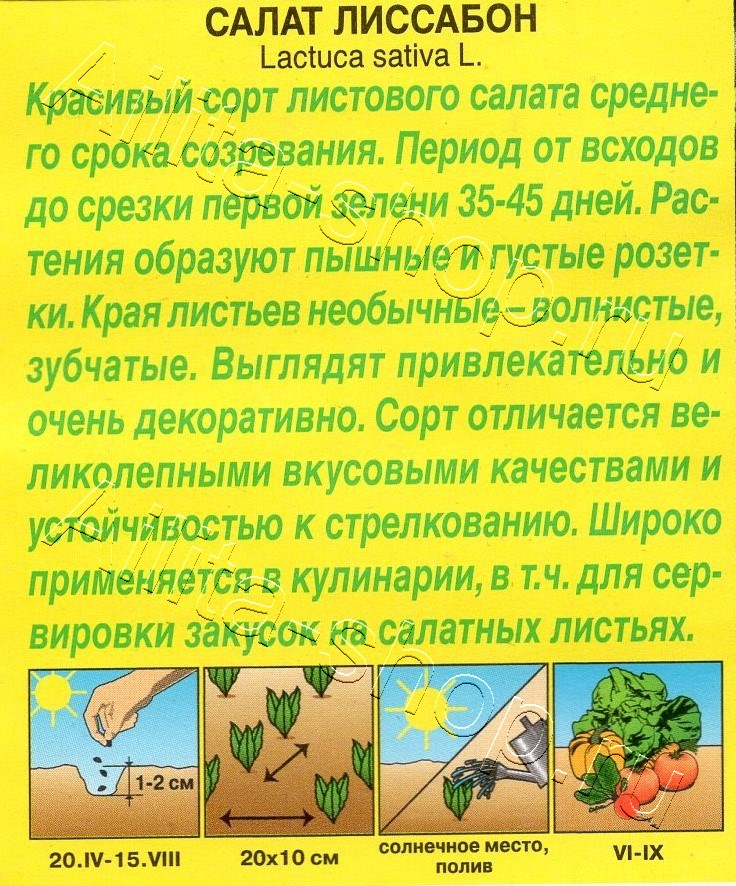 Салат Лиссабон 0,5г