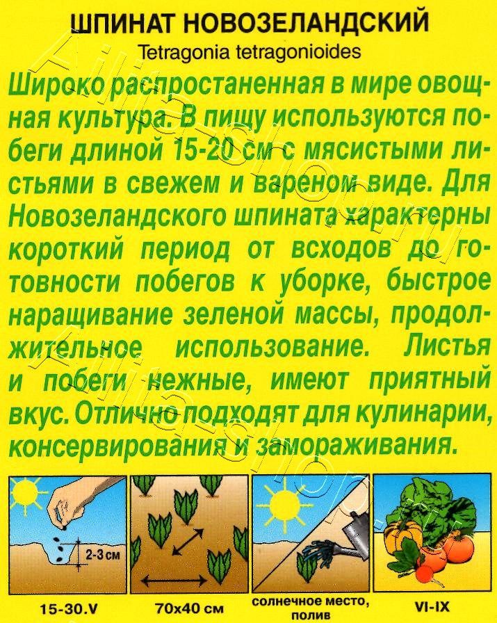 Шпинат Новозеландский 1г