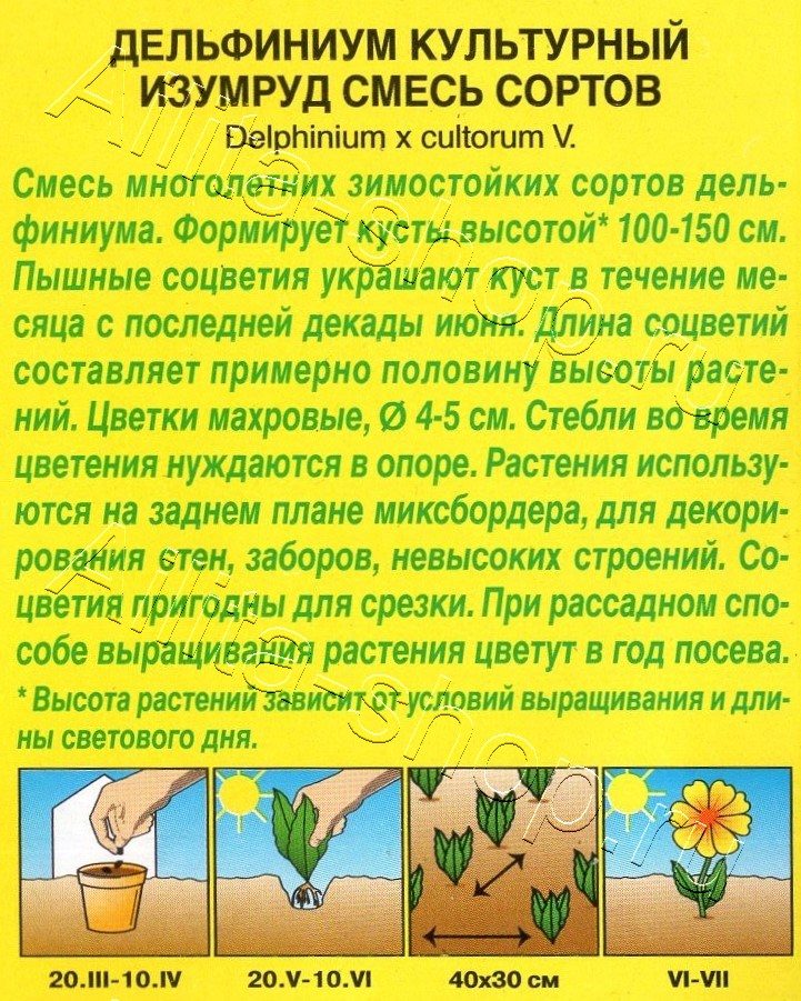 Дельфиниум Изумруд, смесь сортов 25шт