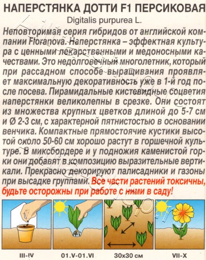 Наперстянка Дотти F1 персиковая 5шт