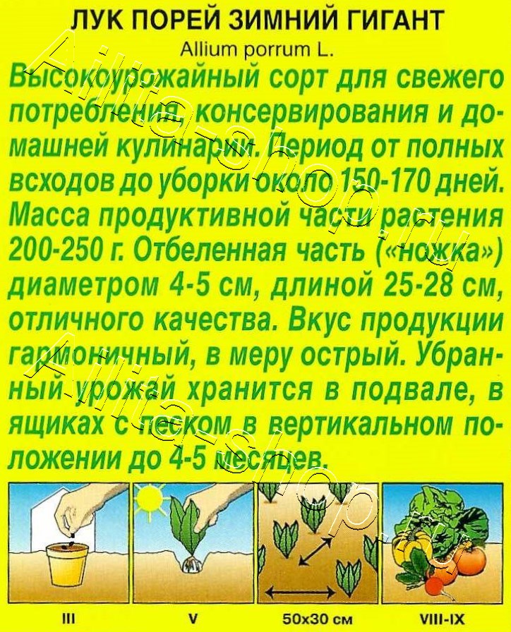 Лук порей Зимний гигант 0,5г