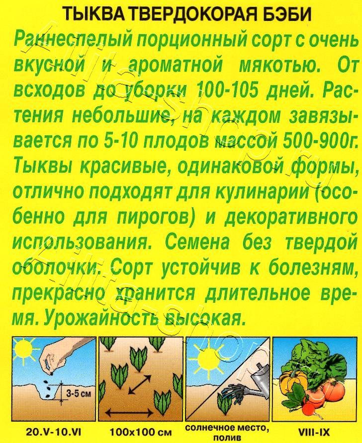 Тыква твердокорая Бэби 1г