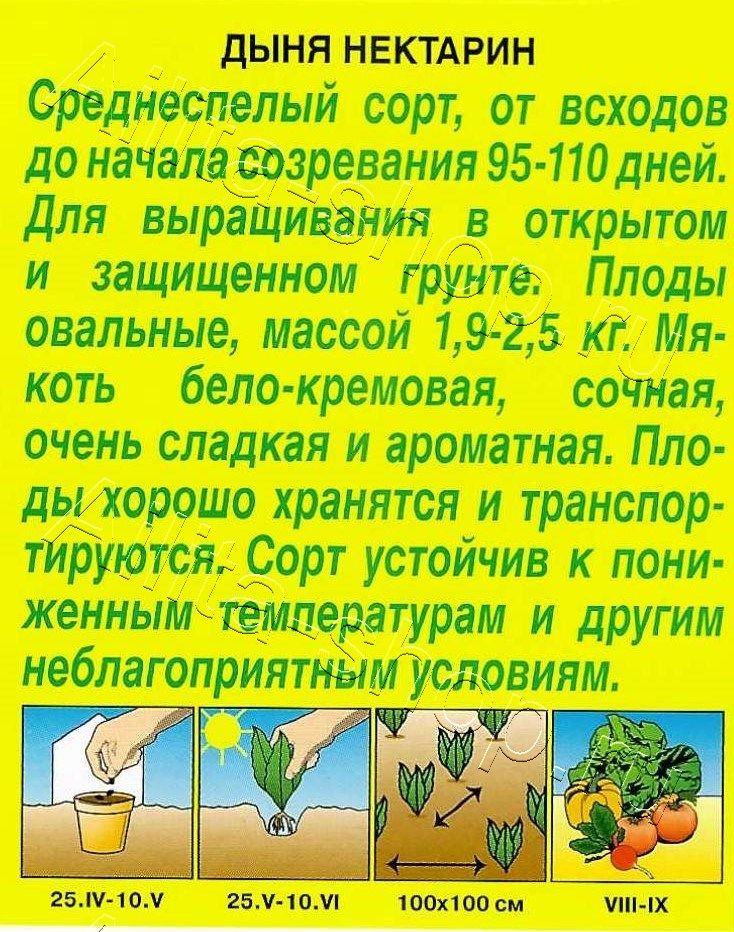 Дыня Нектарин 1г