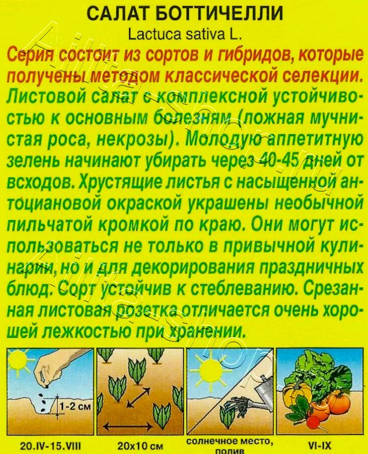 Салат Боттичелли 0,1г