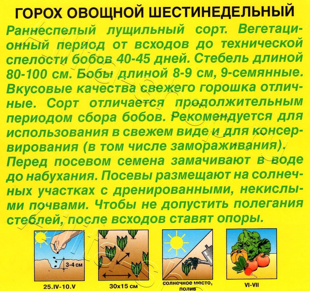 Горох овощной Шестинедельный 25г