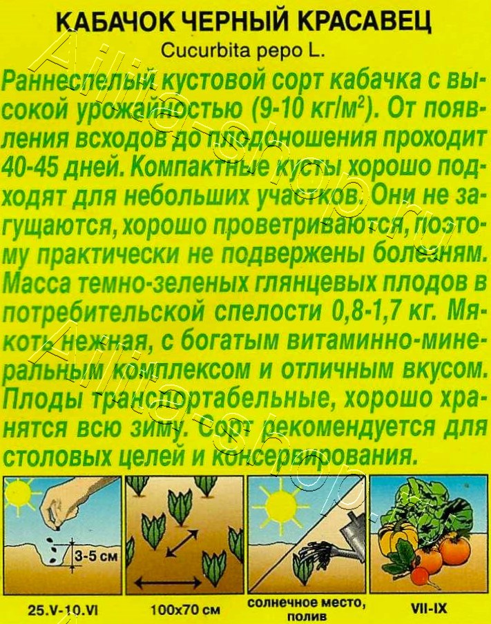 Кабачок цуккини Черный красавец 1г