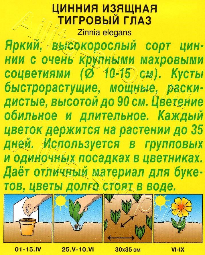 Цинния Тигровый глаз 0,3г