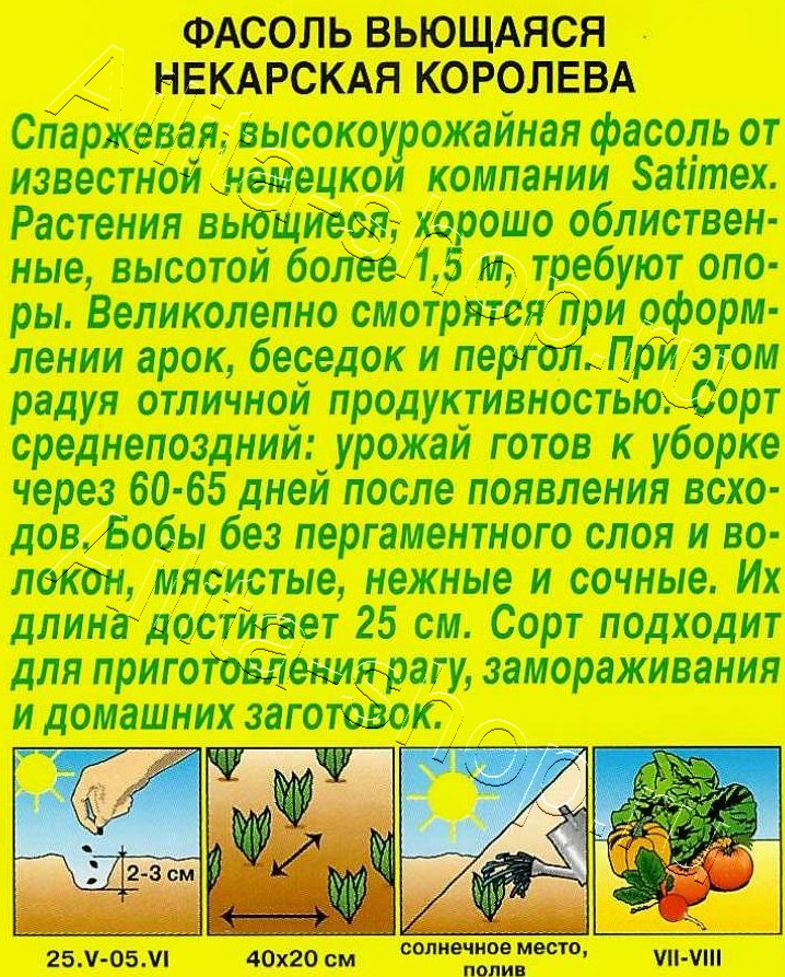 Фасоль вьющаяся Некарская королева 5г