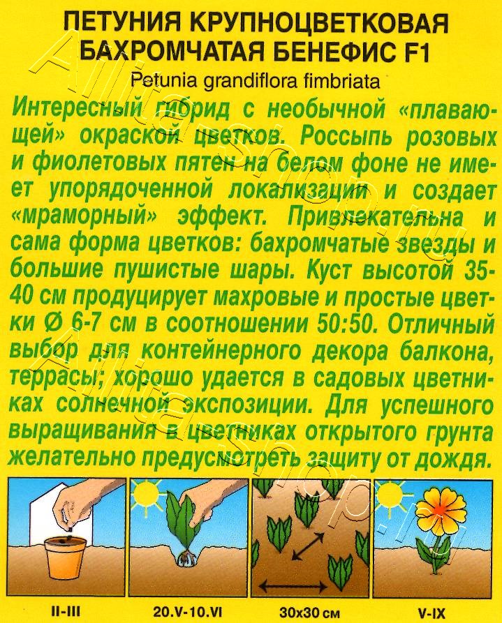Петуния Бенефис F1 крупноцветковая бахромчатая 7шт