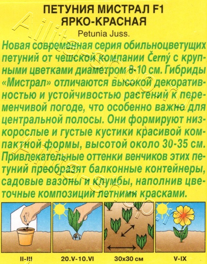 Петуния Мистрал F1 ярко-красная крупноцветковая 7шт