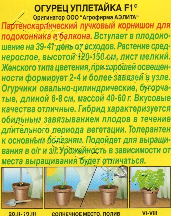 Огурец Уплетайка F1 7шт