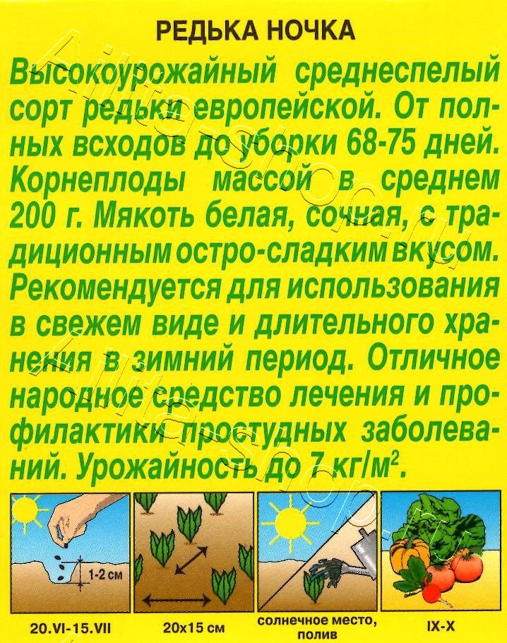 Редька Ночка 1г