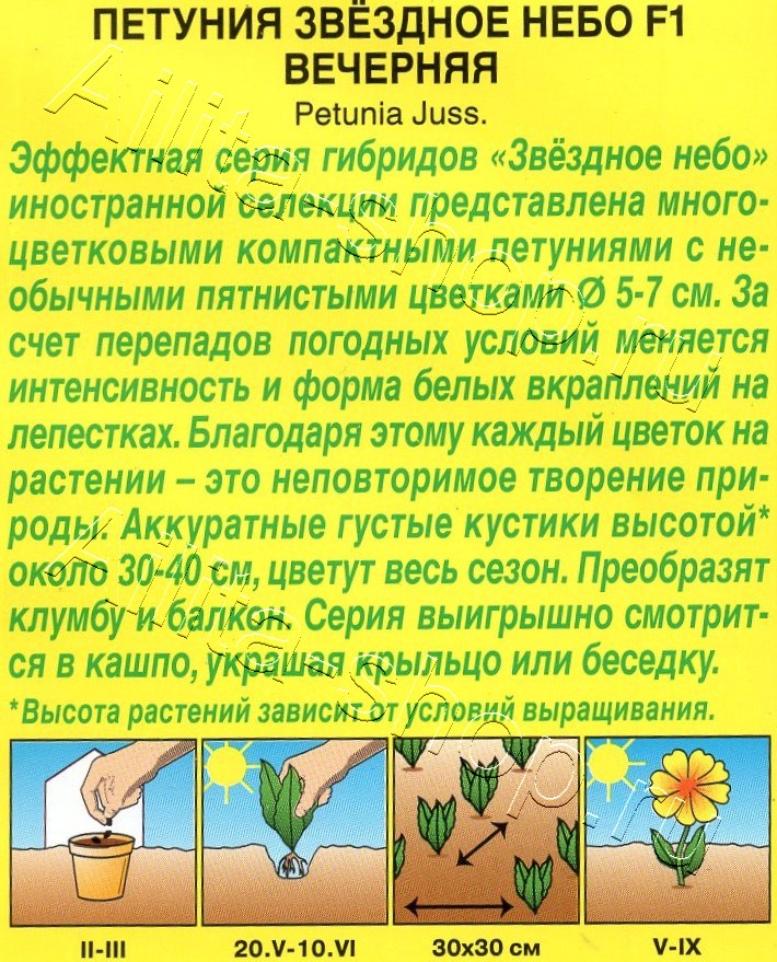 Петуния Звездное небо F1 вечерняя 7шт