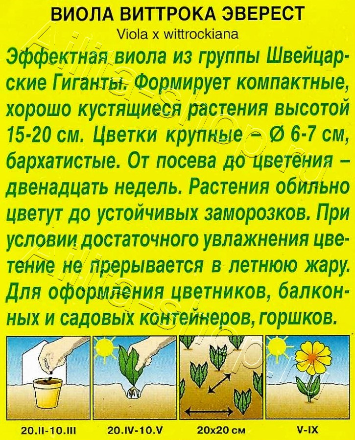 Виола Эверест 20шт