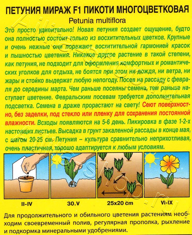 Петуния Мираж F1 красная пикоти 7шт