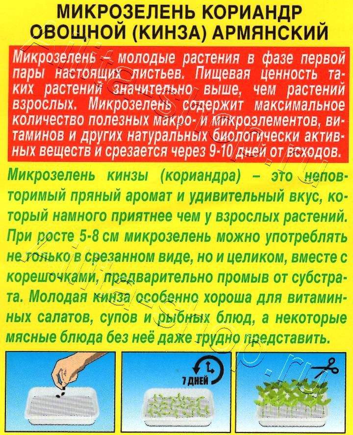 Микрозелень Кинза 5г