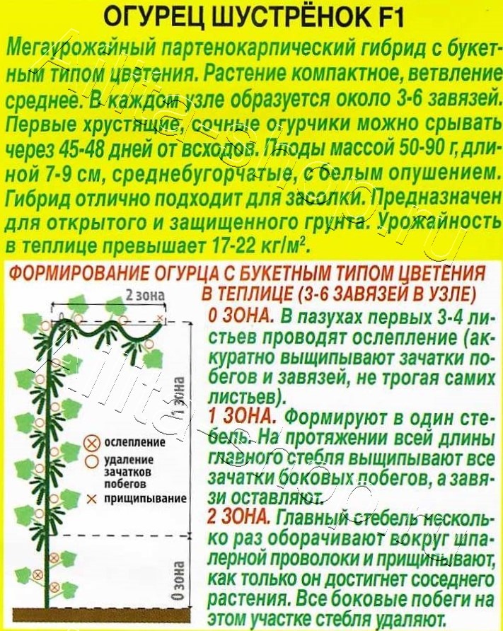 Огурец Шустренок F1 7шт