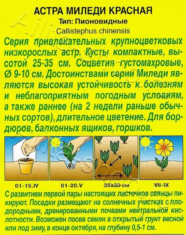 Астра Миледи красная 0,2г