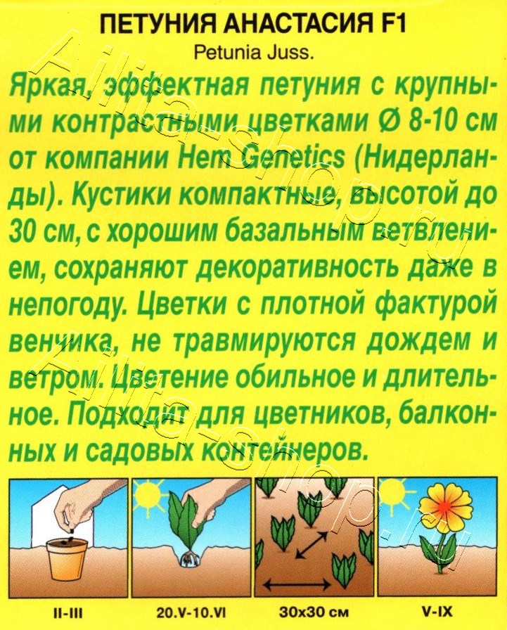 Петуния Анастасия F1 крупноцветковая 10шт