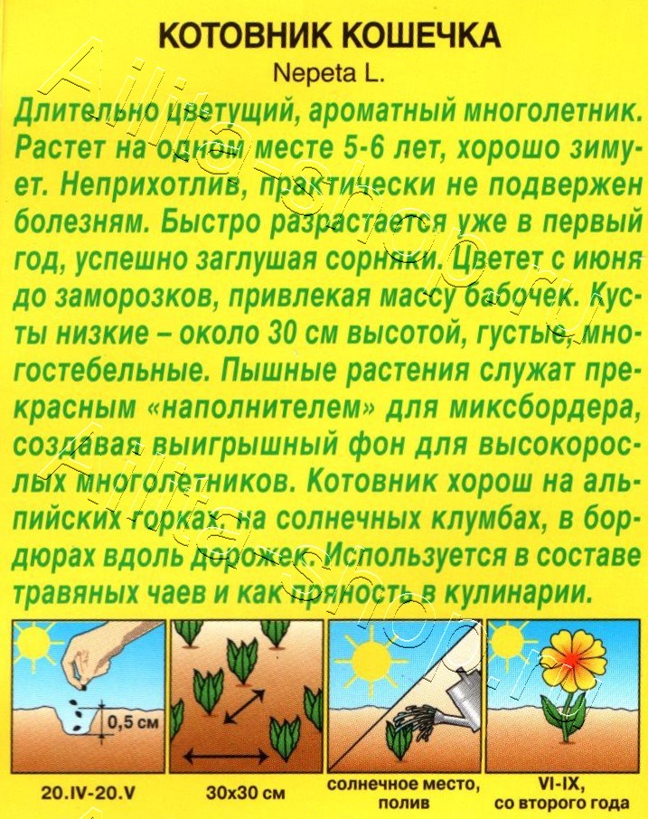 Котовник Кошечка 0,2г