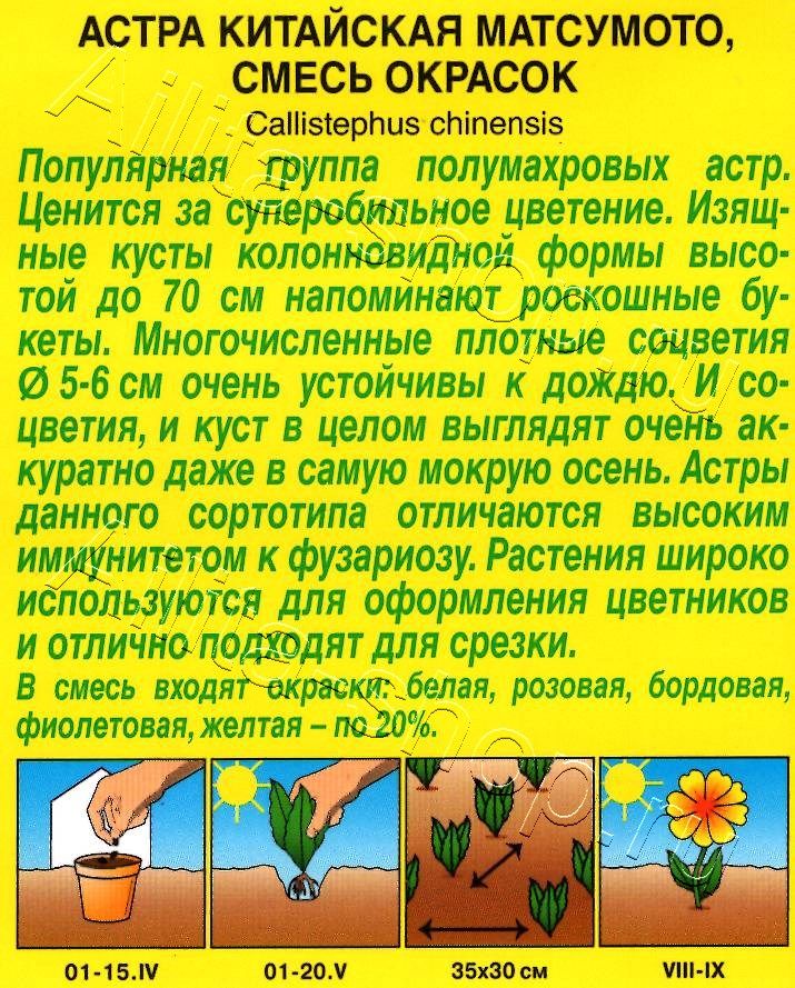 Астра Матсумото, смесь окрасок 0,2г