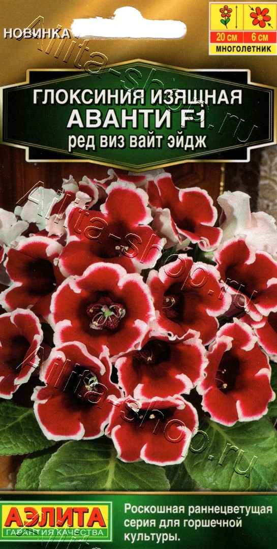Глоксиния Аванти F1 ред виз вайт эйдж 5шт