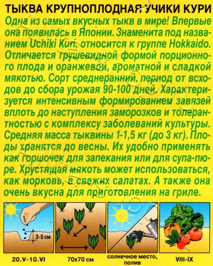 Тыква крупноплодная Учики кури 1г
