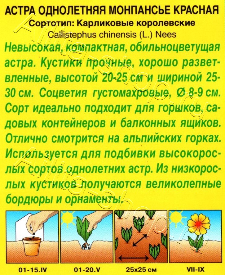 Астра Монпансье красная 0,2г