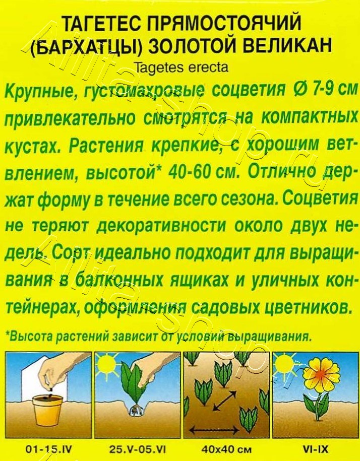 Бархатцы Золотой великан 0,1г