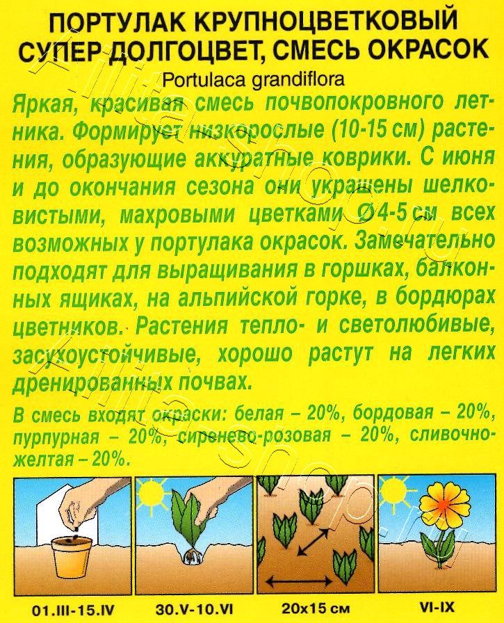 Портулак махровый Супер долгоцвет, смесь окрасок 0,1г
