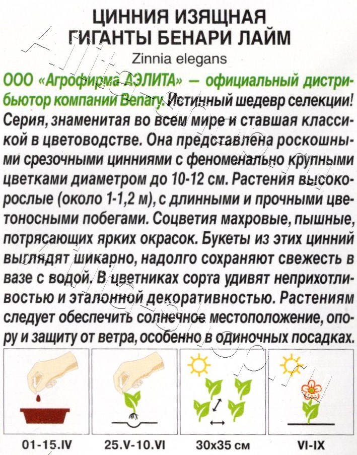 Цинния Гиганты Бенари лайм 7шт