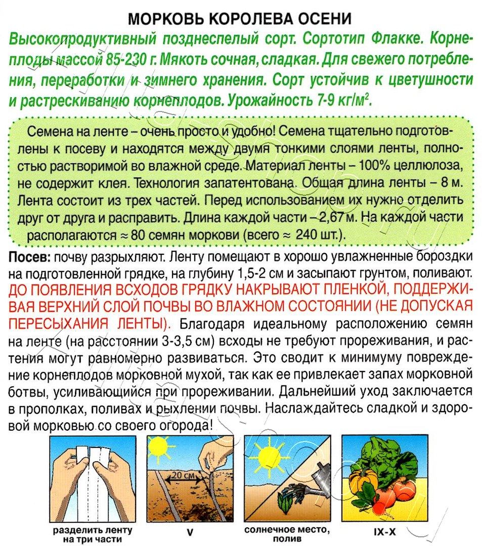 Морковь Королева осени на ленте 8м