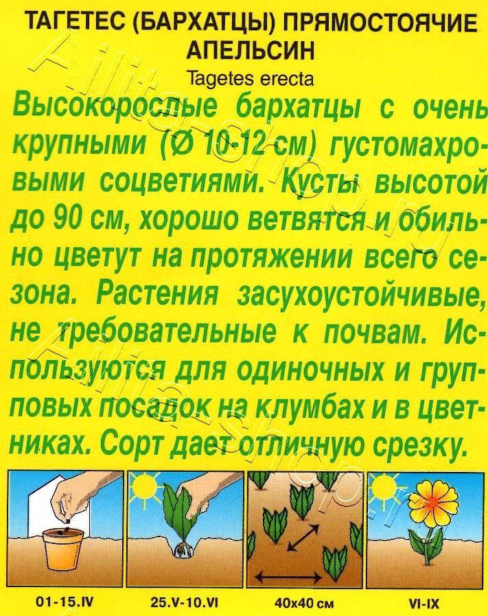 Бархатцы Апельсин прямостоячие 0,3г