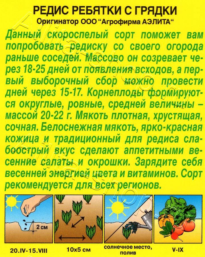 Редис Ребятки с грядки 2г