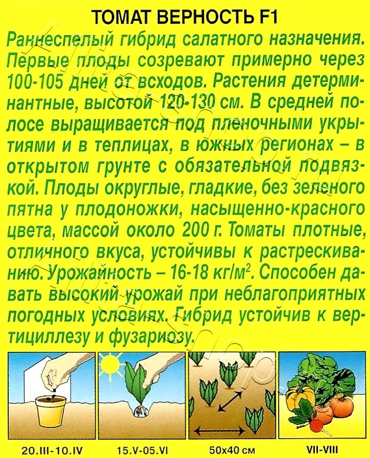 Томат Верность F1 10шт