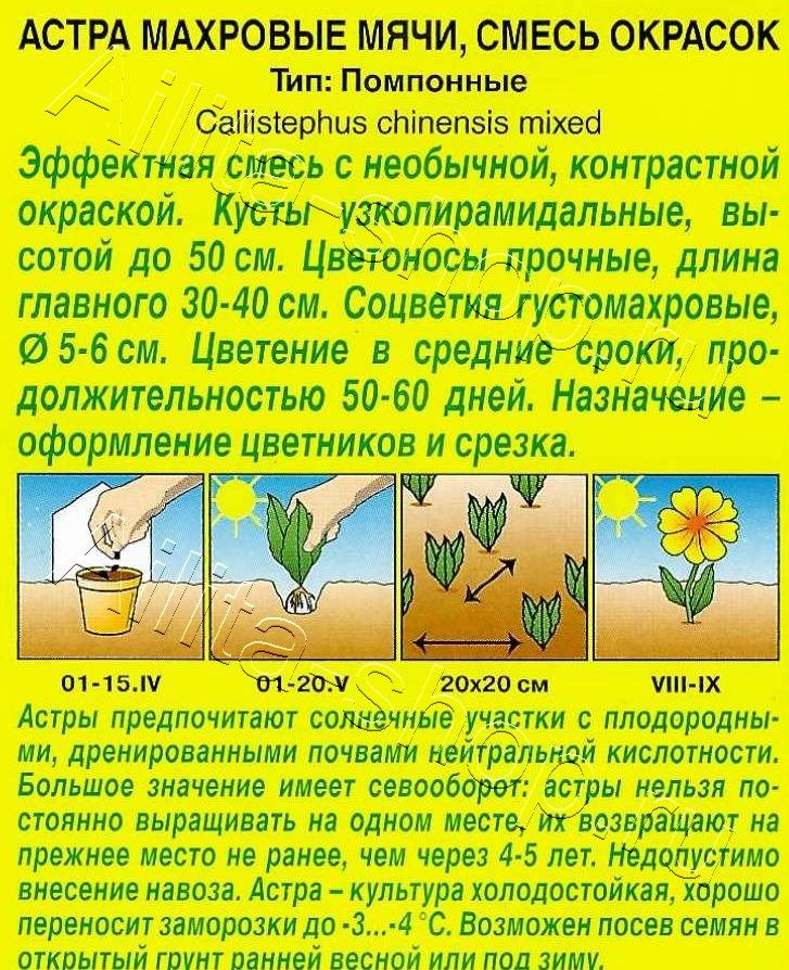 Астра Махровые мячи, смесь окрасок 0,1г