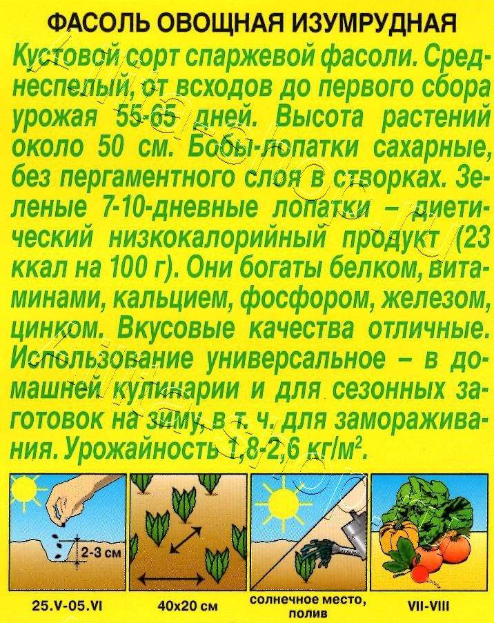 Фасоль овощная Изумрудная 5г