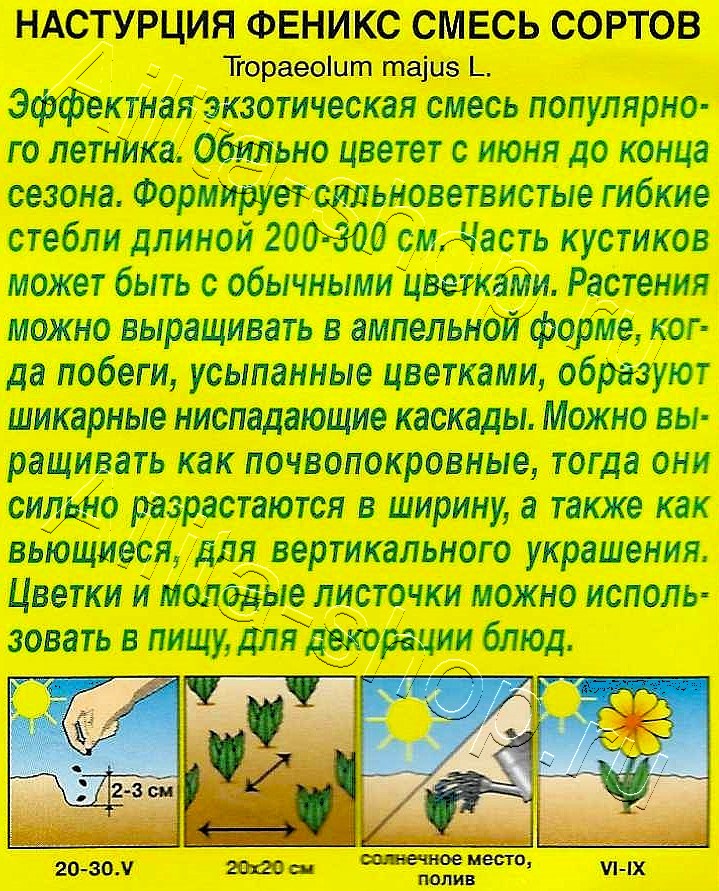 Настурция Феникс 5шт