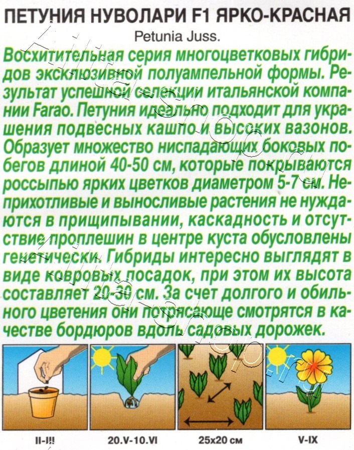 Петуния Нуволари F1 полуампельная ярко-красная 5шт