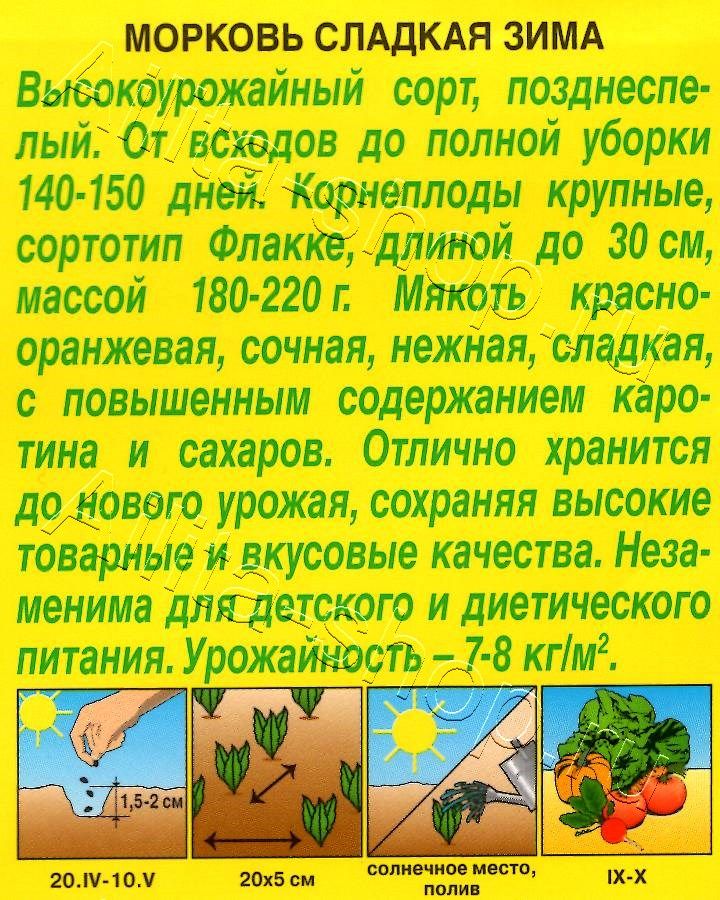 Морковь Сладкая зима 2г