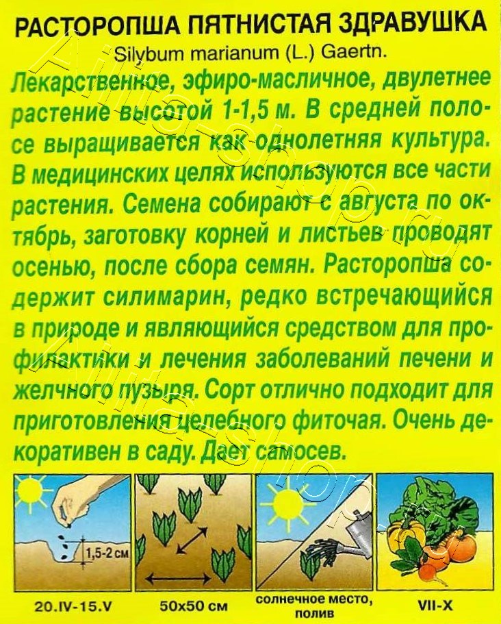 Расторопша пятнистая Здравушка 5шт