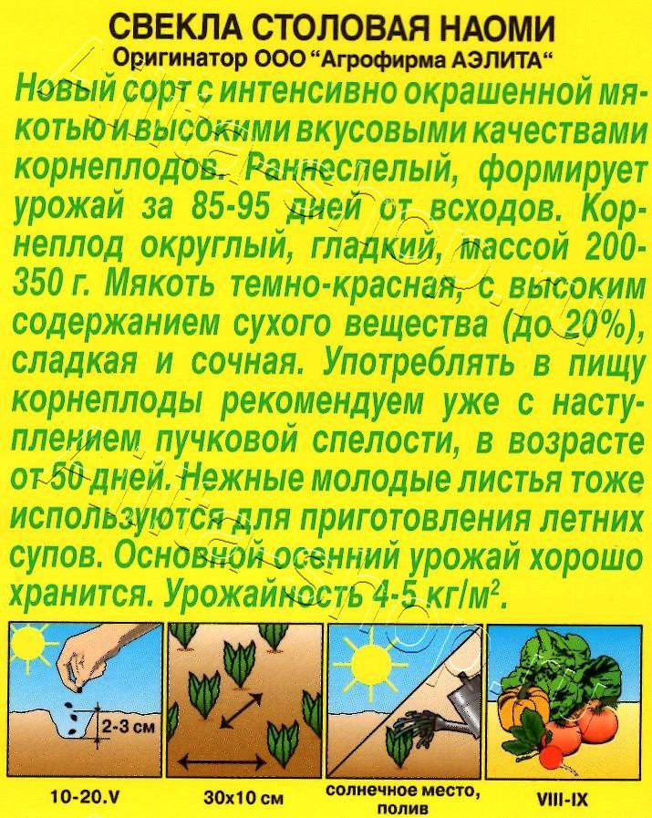 Свекла столовая Наоми 2г