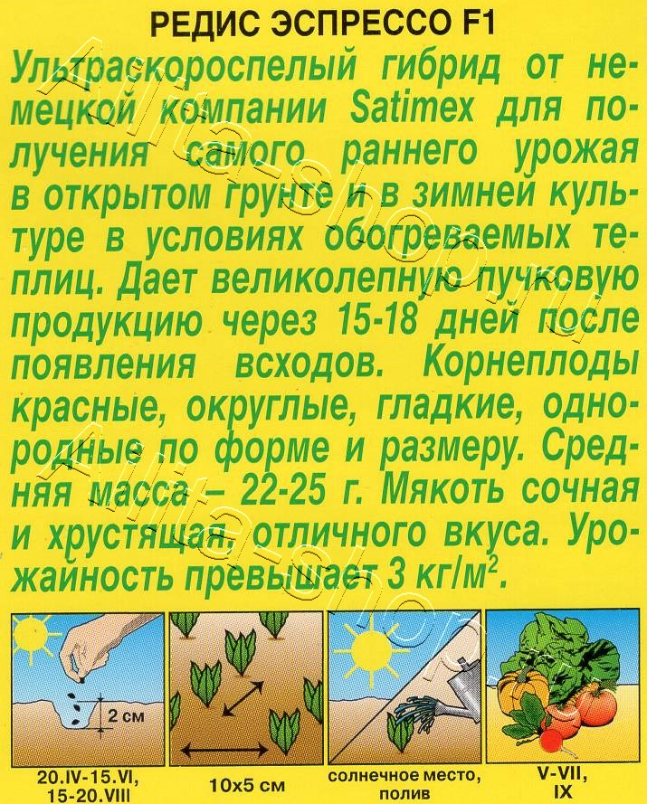 Редис Эспрессо F1 1г