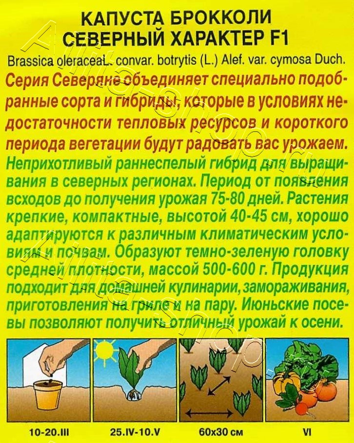 Капуста брокколи Северный характер F1 10шт